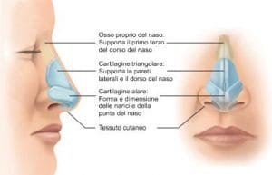 Naso 2
