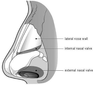 Valvola Nasale