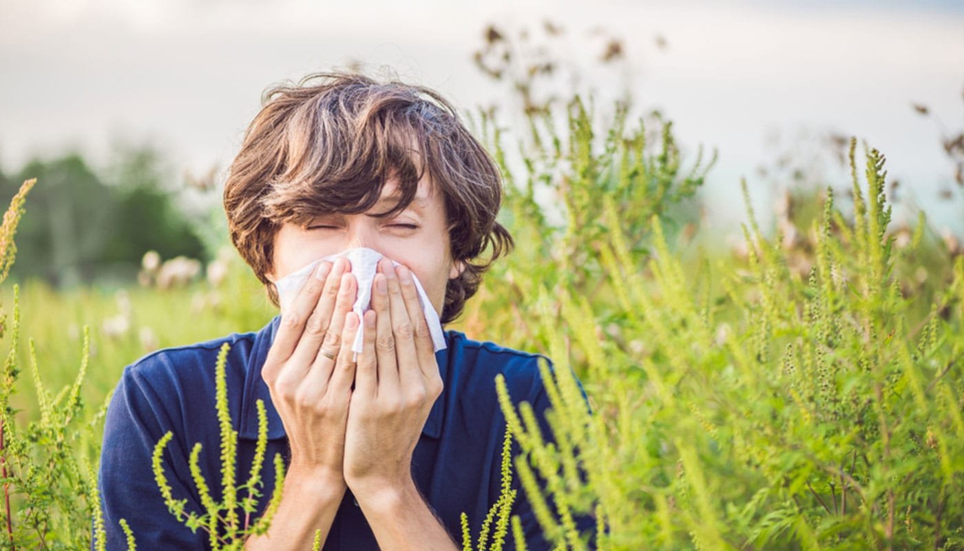 allergie
