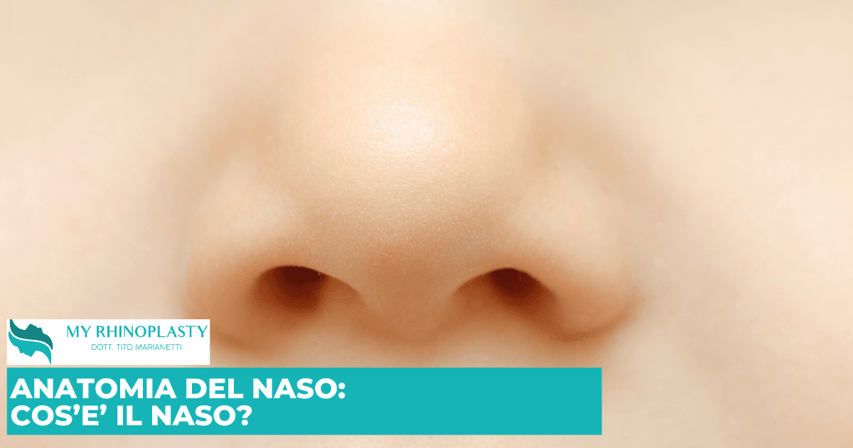 Tutto sul naso: anatomia, funzione e patologie